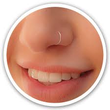 Imported Nose Rings(pack of 2)